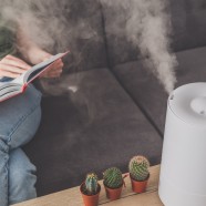 Jak zapewnić prawidłowy poziom wilgotności w mieszkaniu?